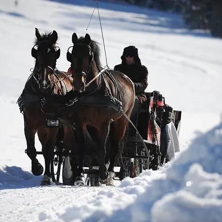 Gut Weissenhof Hotel 4*