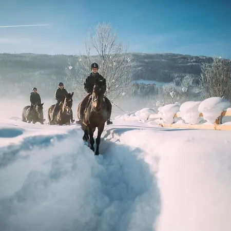 ホテル Gut Weissenhof ラートシュタット